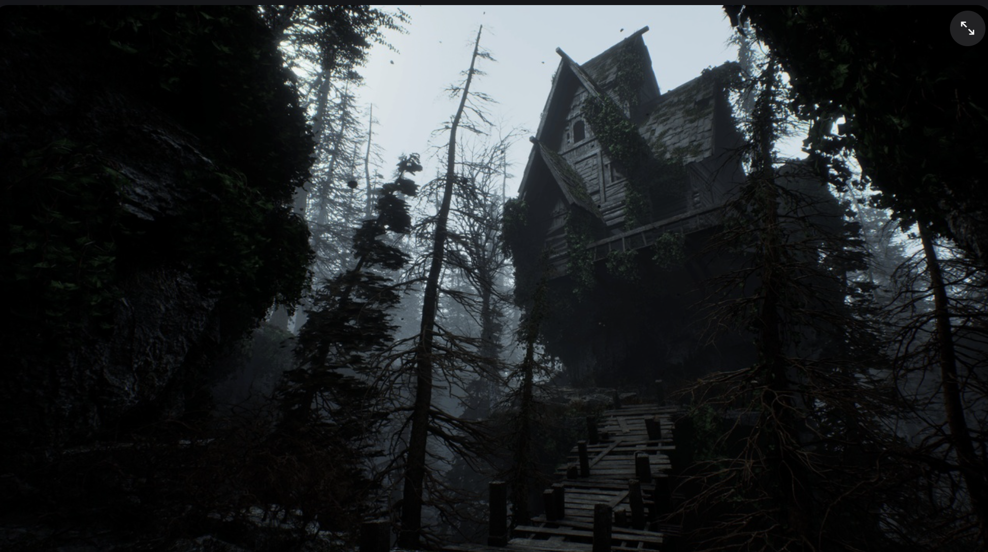 Witch house in a foggy forest